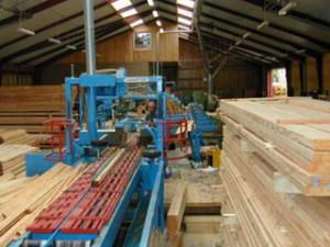 Работа на пилораме в Польше