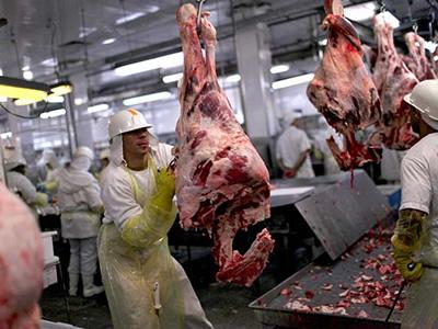 Разнорабочие в убойный цех при мясокомбинате и на мясокомбинат в Польше