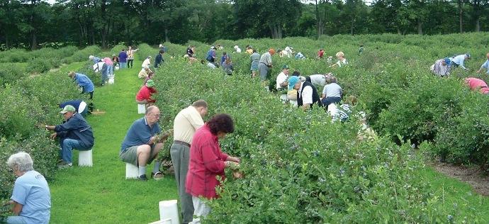 Сезонная работа в Польше