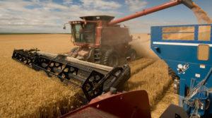 робота в с/г Данії