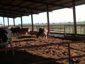 Робота оператора ферми в Швеції