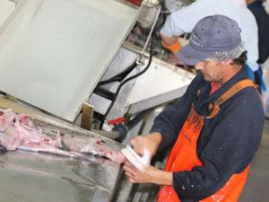 Разнорабочий на рыбное предприятие в Польше