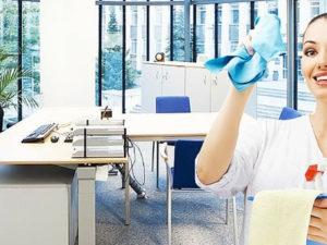 Робота прибиральниці в Литві