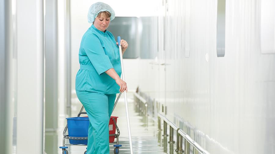 Работа для женщин в Чехии