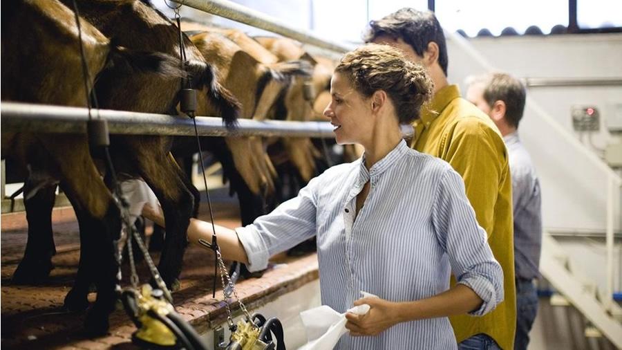 Работа для женщин в Эстонии