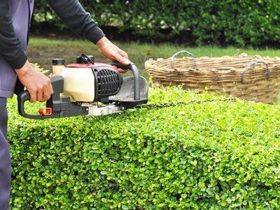 Вакансия для садовника в Германии