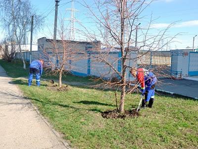 Вакансия для дворника в Польше