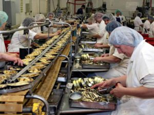 Робота на рибному заводі з виготовлення консервів