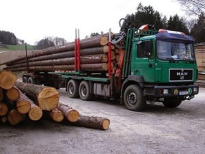 Робота для водія лісовоза з маніпулятором