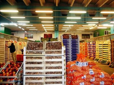 Вакансия для помощника на овощном складе в Польше