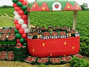 Робота для студентів з продажу полуниці