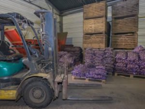 Работа сортировка картошки на складе