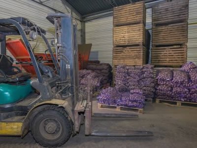 Сортировка картофеля на складе в Польше