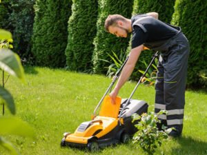 Работа для студентов по ландшафтному дизайну