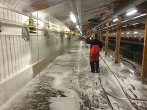 Робота на фермі з очищення та дезінфекції приміщень