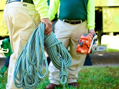 Вакансия для помощника лесоруба в Польше