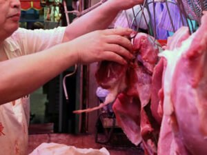 Работа для мясника-забойщика крупного рогатого скота