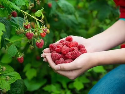 Стажировка для студентов в Германии