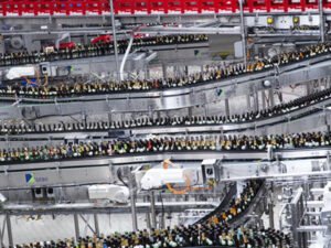 Практика для студентів на заводі по сортуванню склотари