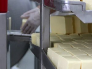 упаковка сыра на фабрике в Германии