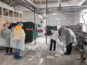 Робота на курячому комбінаті